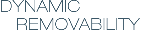 DYNAMIC    REMOVABILITY