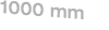 1000 mm